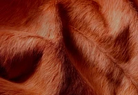 H-Natural 6'X7' Geneva Cowhide Rug