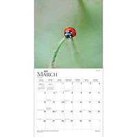 Simplicity | 2023 12x24 Inch Square Wall Calendar