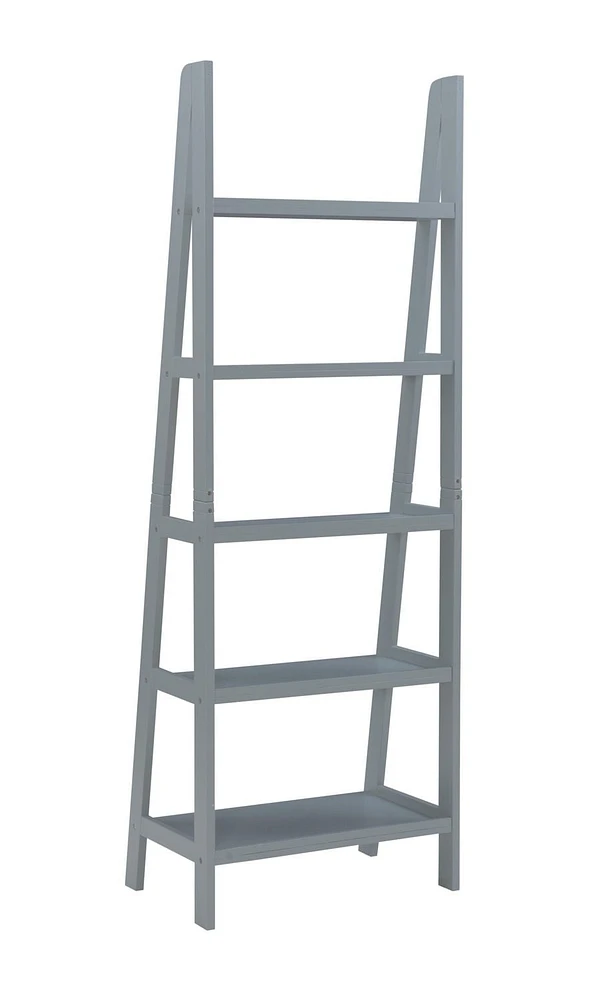 Aurora Ladder Bookshelf, Grey