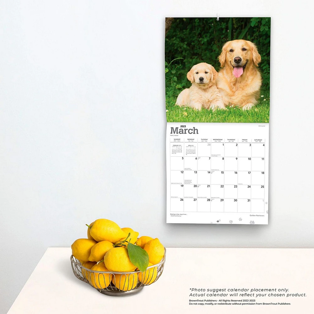 Golden Retrievers | 2023 12x24 Inch Square Wall Calendar