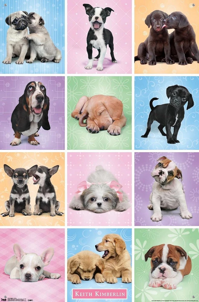 Keith Kimberlin - Puppies - Cuties Grid Wall Poster, 22.375" x 34"