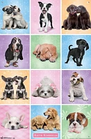 Keith Kimberlin - Puppies - Cuties Grid Wall Poster, 22.375" x 34"