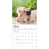 Kittens & Puppies | 2023 12x24 Inch Square Wall Calendar