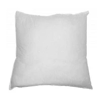 Homeport Textiles 20"x20" Domestic Polyester Filled Pillow Insert