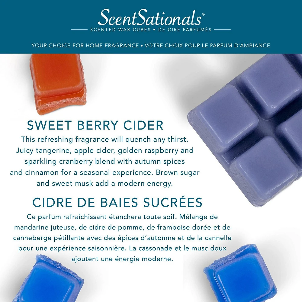 Cubes de cire parfumée ScentSationals - Cidre de baies sucrées