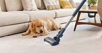 Aspirateur-balai intelligent sans fil Tineco S10 ZT avec tête de brosse ZeroTangle pour sols durs et tapis Aspirateur-balai intelligent et léger