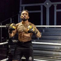 Gants de boxe serie thaï d'IBF - 12 once. - Noir et dorées