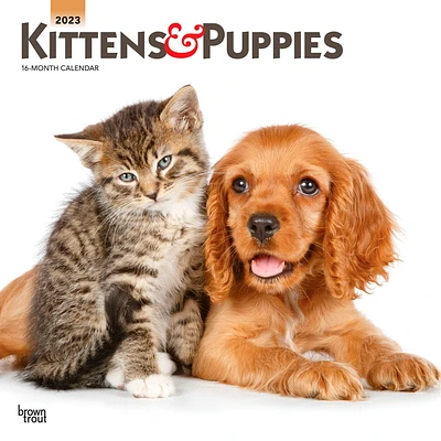 Kittens & Puppies | 2023 12x24 Inch Square Wall Calendar