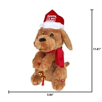 Begging Christmas Labradoodle