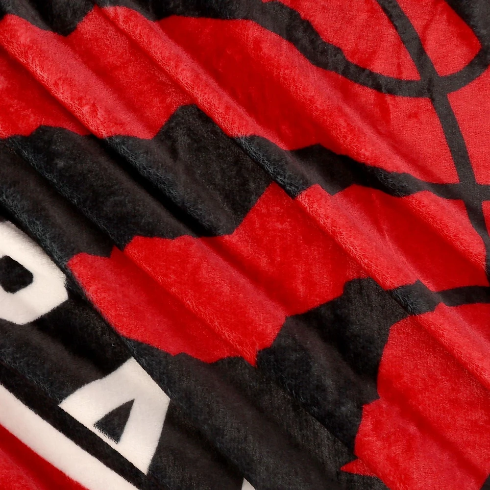NBA Toronto Raptors Plush Throw Blanket, 50" x 60"