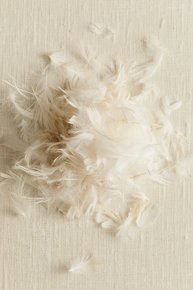 Feather-filled Inner Cushion