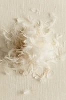 Feather-filled Inner Cushion