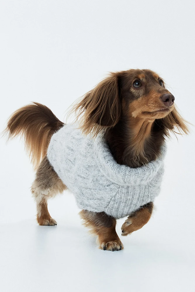Cable-knit Dog Sweater