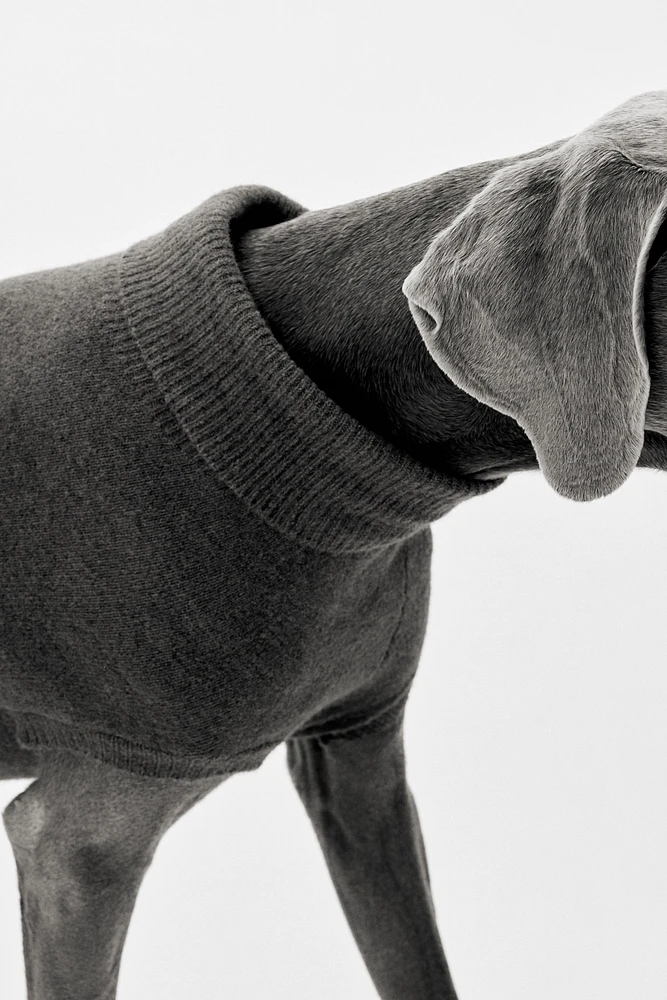 Fine-Knit Dog Sweater