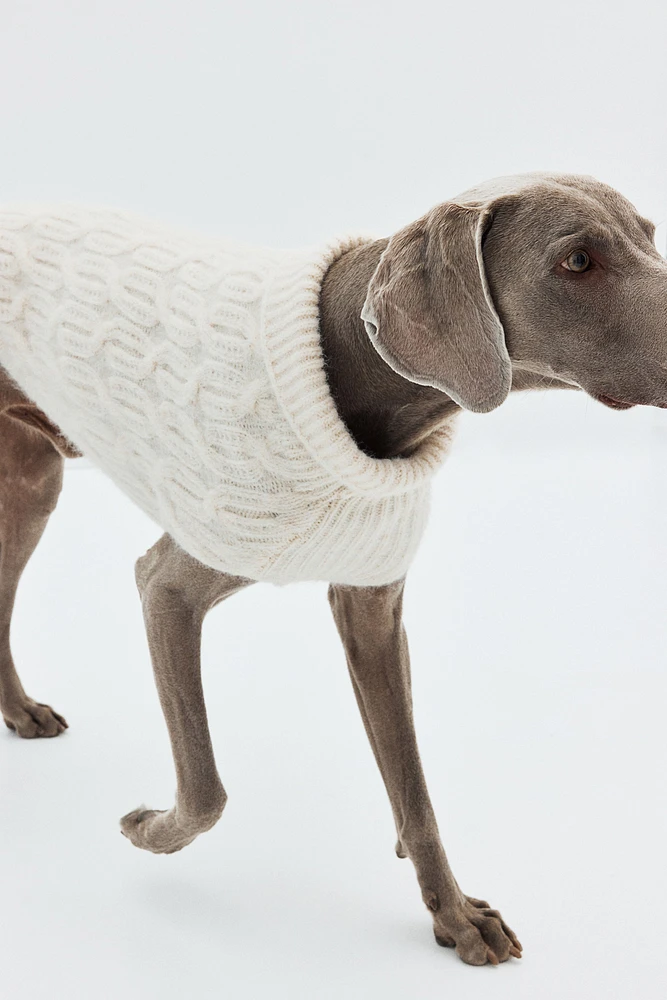 Chandail pour chien en maille torsadée