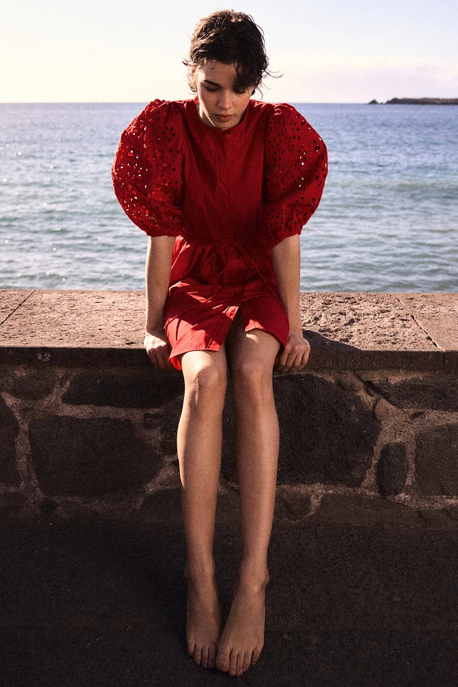 Dress with Eyelet-Embroidered Sleeves
