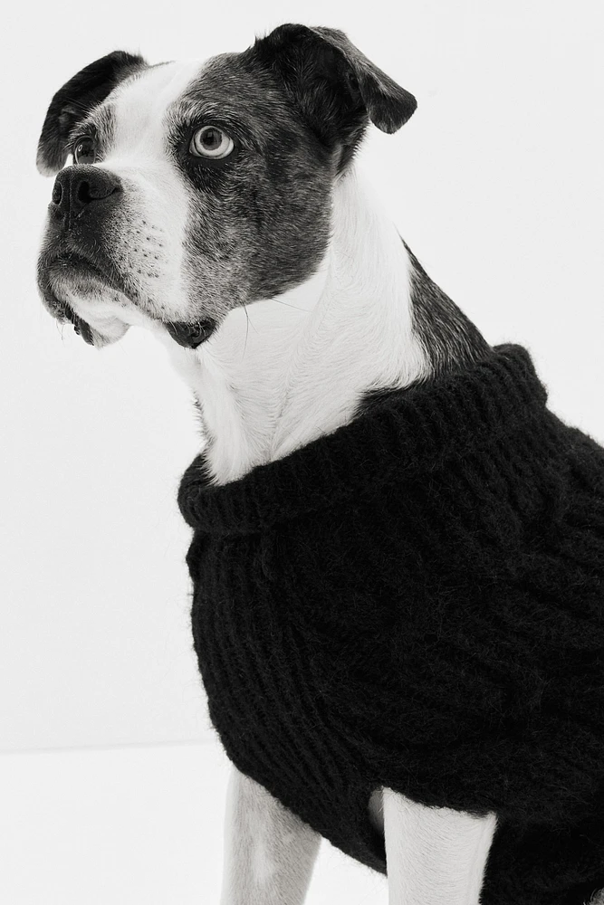 Cable-knit Dog Sweater
