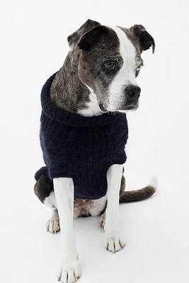Cable-knit Dog Sweater