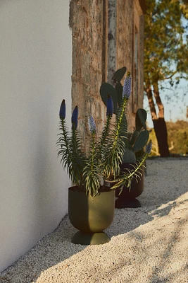 Large Metal Plant Pot