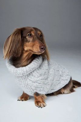 Cable-knit Dog Sweater