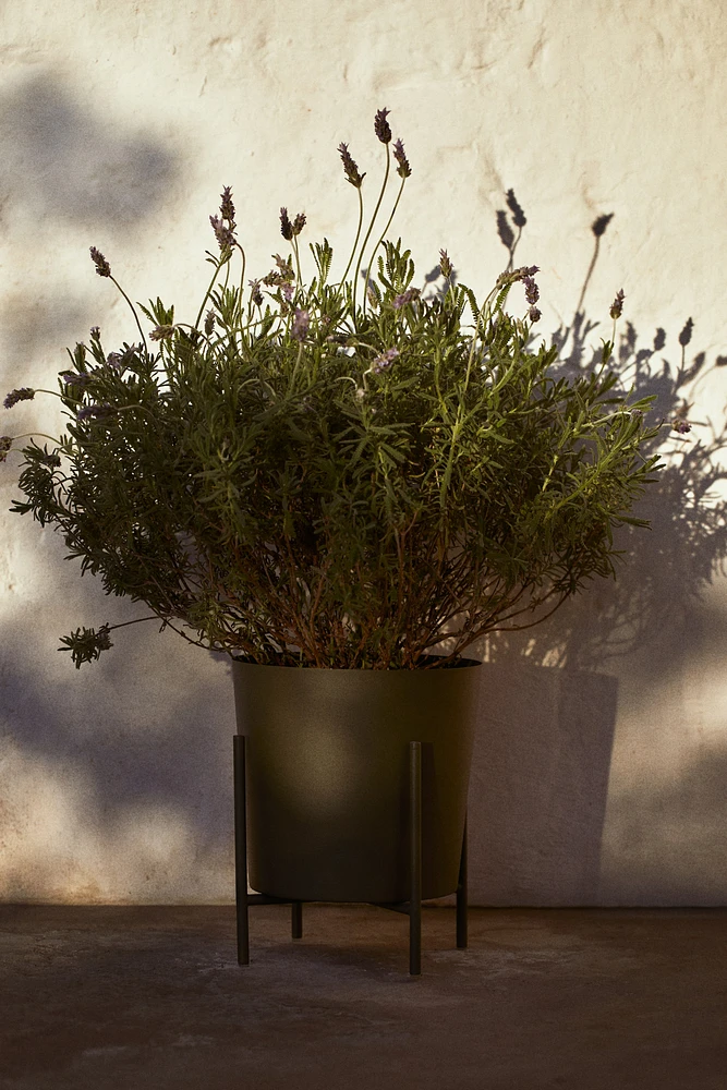 Large Plant Pot on Stand