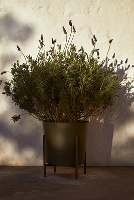 Large Plant Pot on Stand
