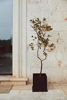 Metal Plant Pot