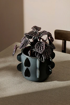 Reactive-glaze Stoneware Plant Pot