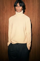 Regular Fit Turtleneck Sweater