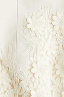 Appliquéd Bandeau Dress