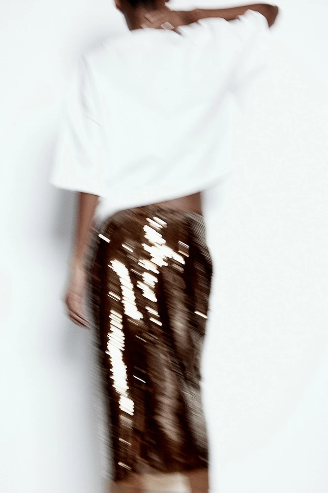 Sequined Midi Skirt