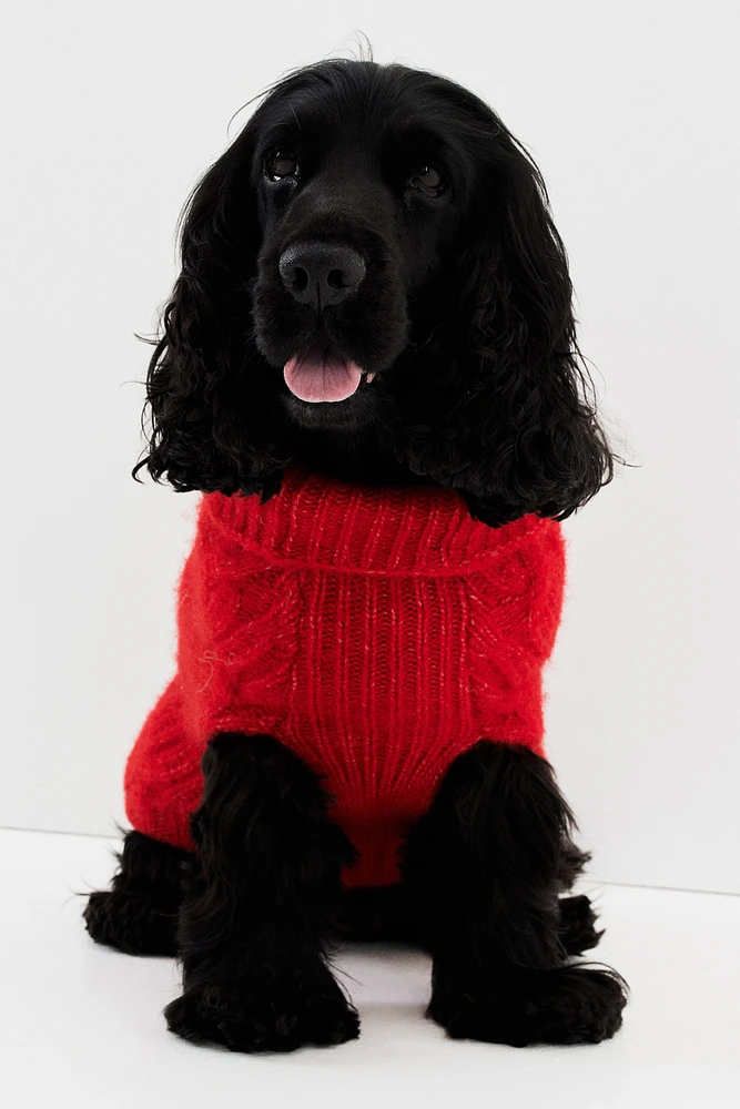 Cable-knit Dog Sweater