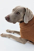 Fine-Knit Dog Sweater