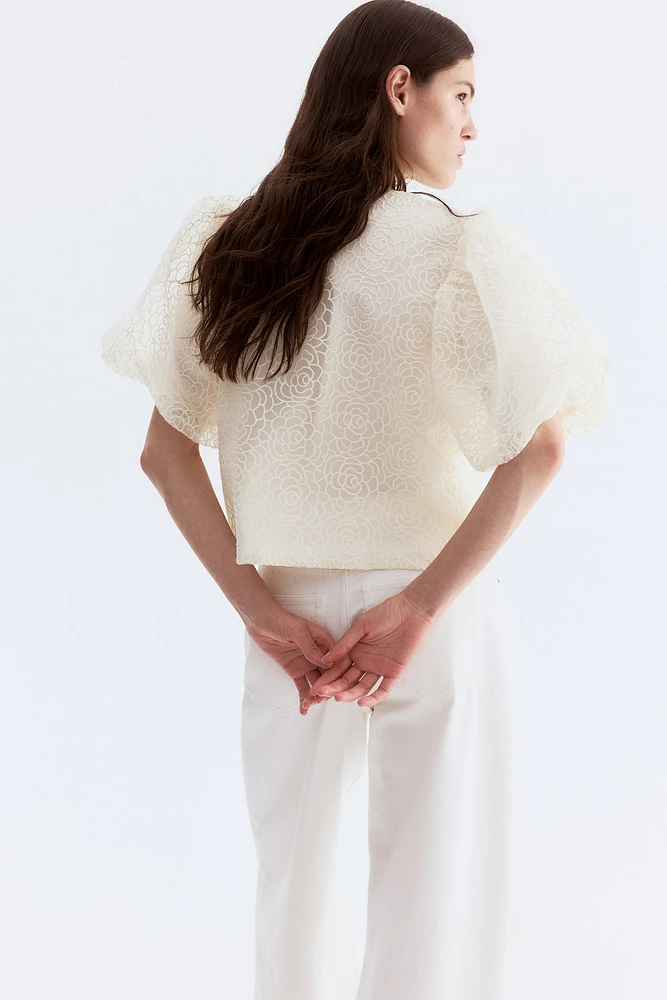 Balloon-Sleeved Blouse
