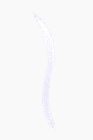 Metalliner Liquid Eyeliner