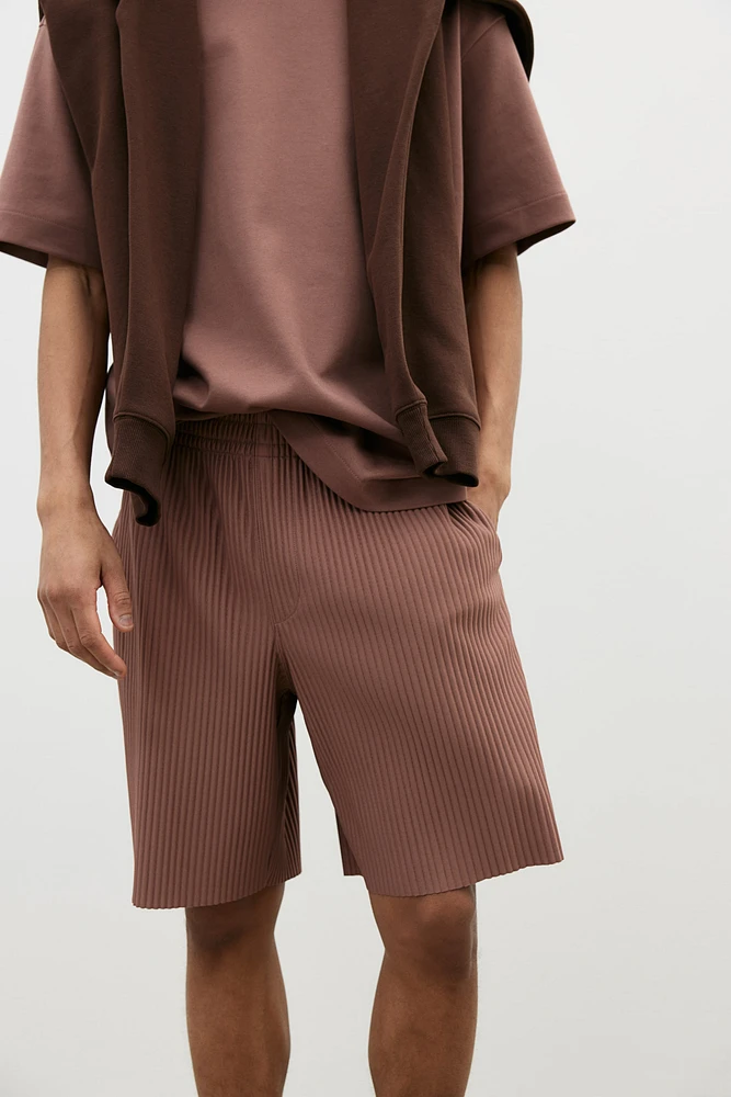 Regular Fit Pleated Shorts