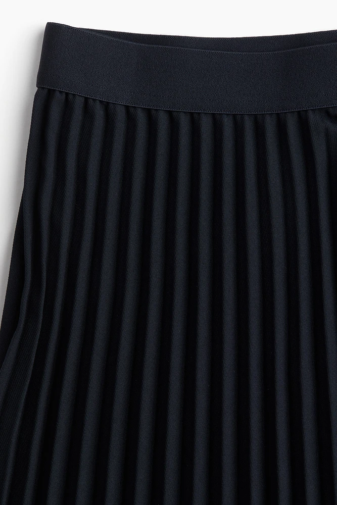 Pleated Skirt