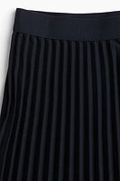 Pleated Skirt