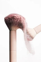 Tapered Cheek Brush