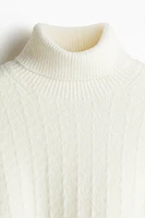 Regular Fit Turtleneck Sweater