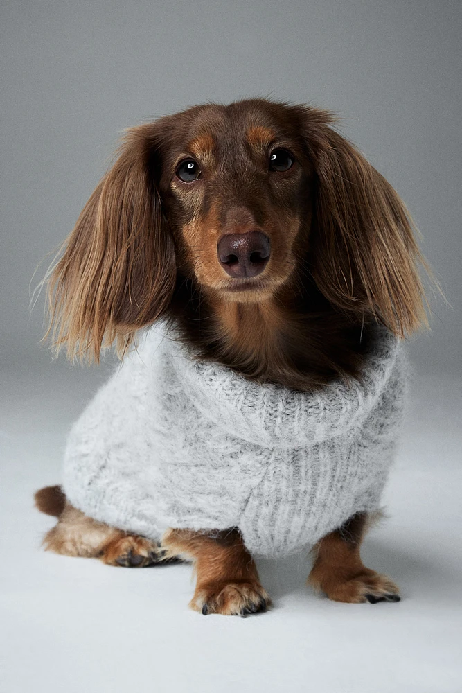 Cable-knit Dog Sweater