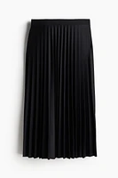 Pleated Skirt