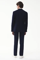 Regular Fit Suit Pants