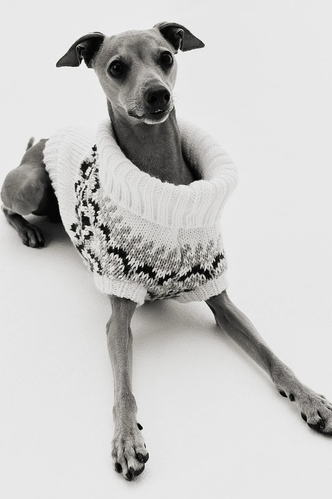 Jacquard-Knit Dog Sweater