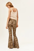 Jazz Pants