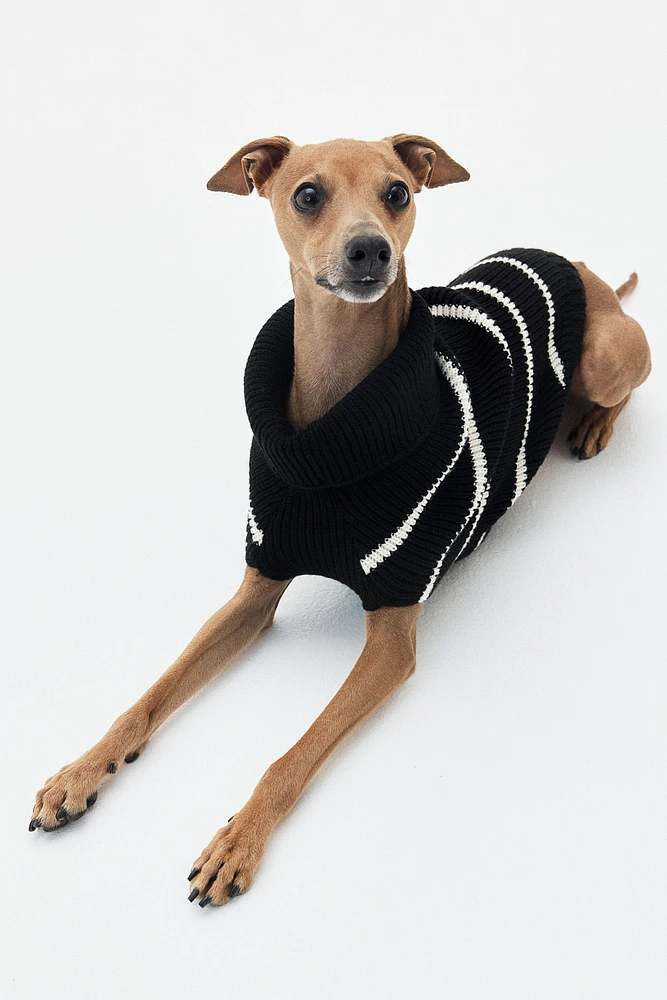 Rib-knit Dog Sweater