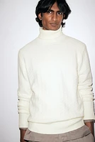 Regular Fit Turtleneck Sweater