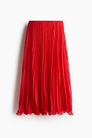 Sheer Pleated Skirt