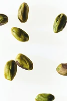 Posh Pistachio Fragrance