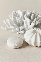 Coral-shaped Sculpture